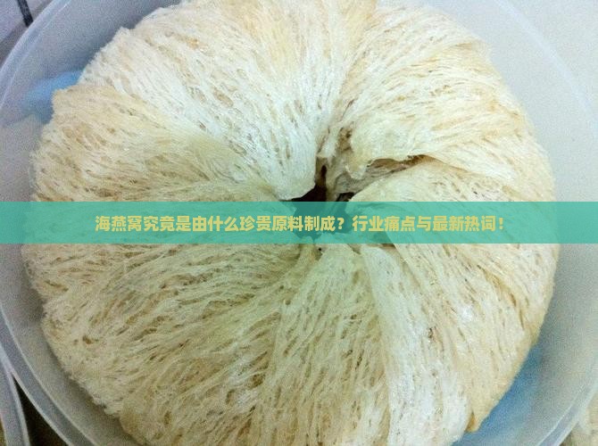 海燕窝究竟是由什么珍贵原料制成？行业痛点与最新热词！