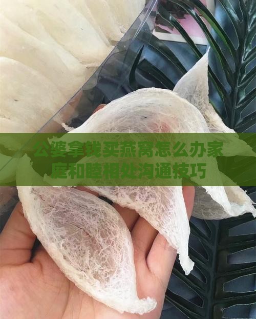 公婆拿钱买燕窝怎么办家庭和睦相处沟通技巧
