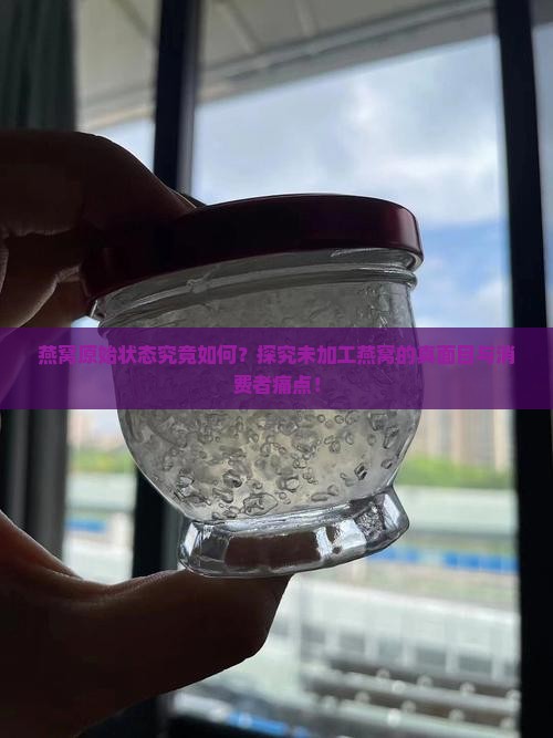 燕窝原始状态究竟如何？探究未加工燕窝的真面目与消费者痛点！