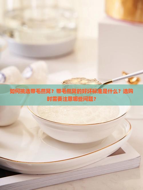 如何挑选带毛燕窝？带毛燕窝的好坏标准是什么？选购时需要注意哪些问题？