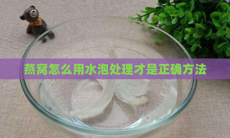 燕窝怎么用水泡处理才是正确方法