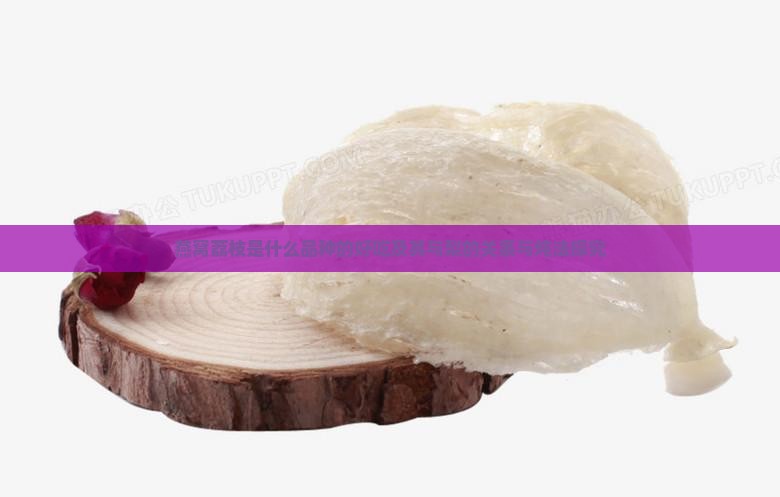 燕窝荔枝是什么品种的好吃及其与梨的关系与炖法探究