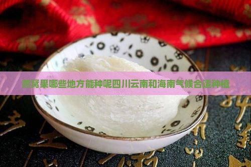 燕窝果哪些地方能种呢四川云南和海南气候合适种植