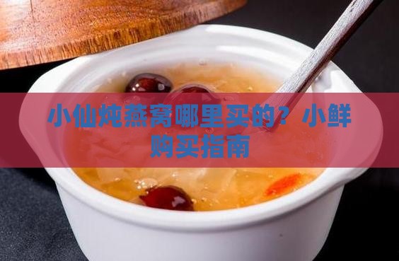 小仙炖燕窝哪里买的？小鲜购买指南