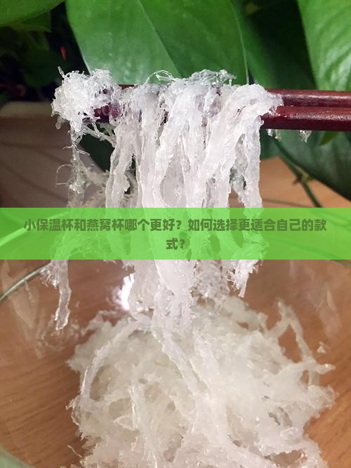 小保温杯和燕窝杯哪个更好？如何选择更适合自己的款式？