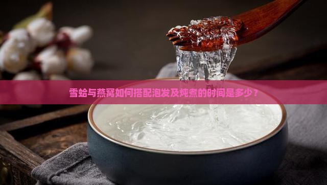 雪蛤与燕窝如何搭配泡发及炖煮的时间是多少？