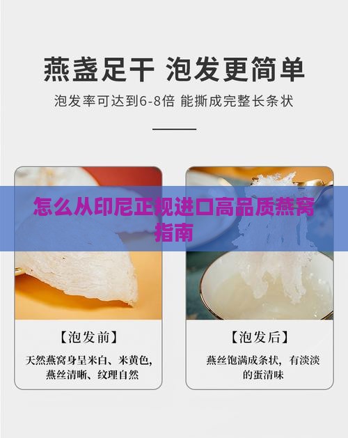 怎么从印尼正规进口高品质燕窝指南