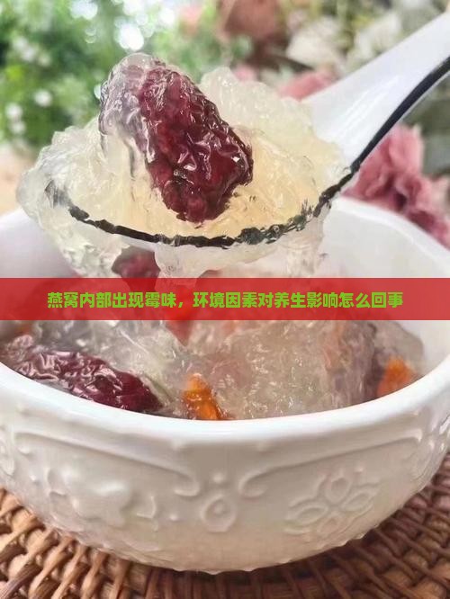 燕窝内部出现霉味，环境因素对养生影响怎么回事