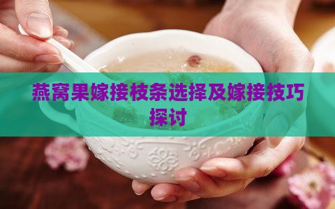 燕窝果嫁接枝条选择及嫁接技巧探讨