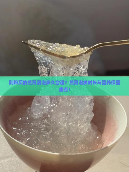 刚购买的燕窝浸泡多久合适？燕窝泡发时长与营养保留痛点！