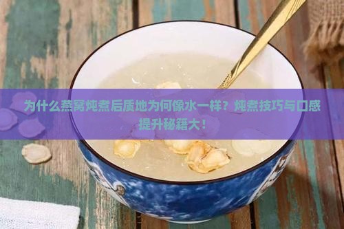 为什么燕窝炖煮后质地为何像水一样？炖煮技巧与口感提升秘籍大！