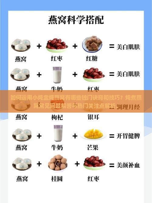如何运用小炖盅炖燕窝有哪些独门诀窍和技巧？炖煮燕窝常见问题解答与热门关注点解析。
