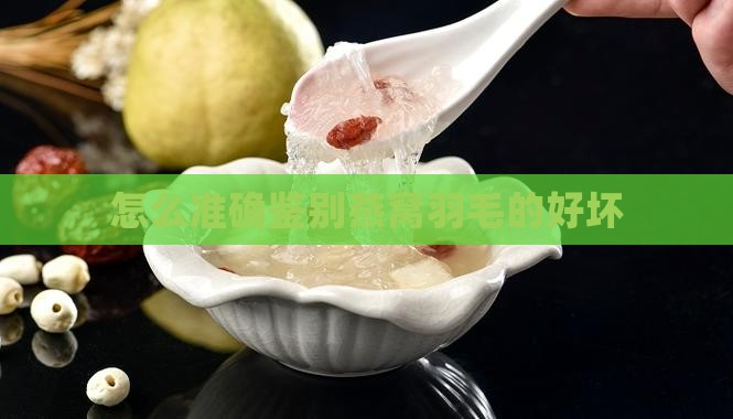 怎么准确鉴别燕窝羽毛的好坏