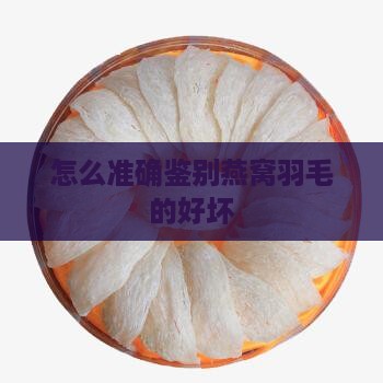 怎么准确鉴别燕窝羽毛的好坏
