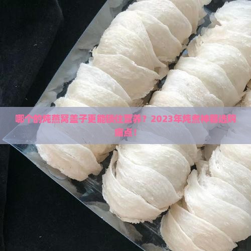 哪个的炖燕窝盖子更能锁住营养？2023年炖煮神器选购痛点！