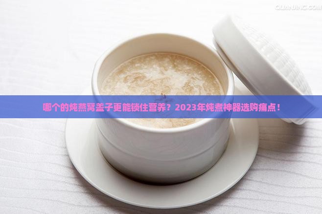 哪个的炖燕窝盖子更能锁住营养？2023年炖煮神器选购痛点！