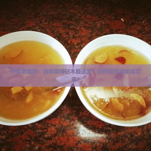 燕窝果栽培：选择哪种砧木最适宜？如何提高嫁接成功率？
