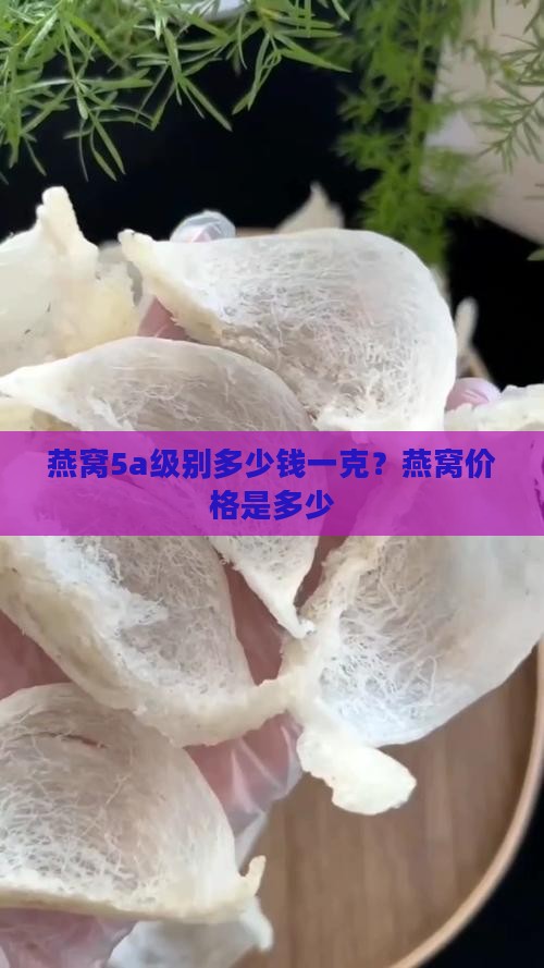 燕窝5a级别多少钱一克？燕窝价格是多少