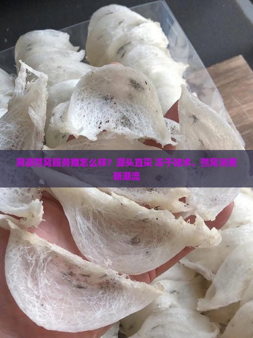 溯源燕窝服务商怎么样？源头直采+冻干技术，燕窝消费新潮流