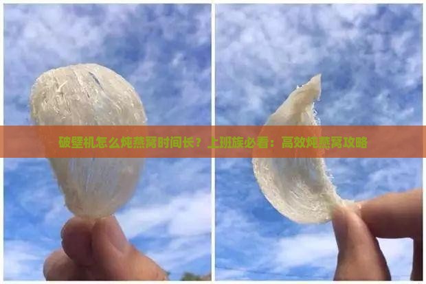 破壁机怎么炖燕窝时间长？上班族必看：高效炖燕窝攻略