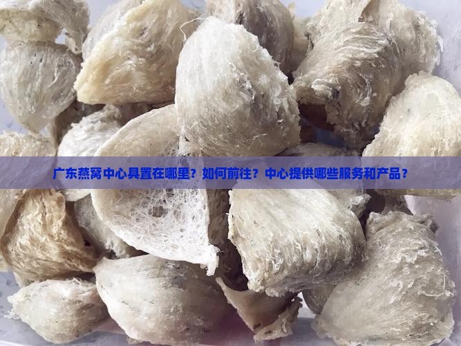 广东燕窝中心具置在哪里？如何前往？中心提供哪些服务和产品？