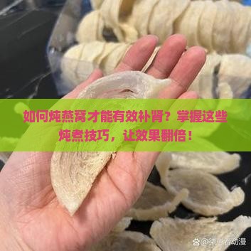 如何炖燕窝才能有效补肾？掌握这些炖煮技巧，让效果翻倍！