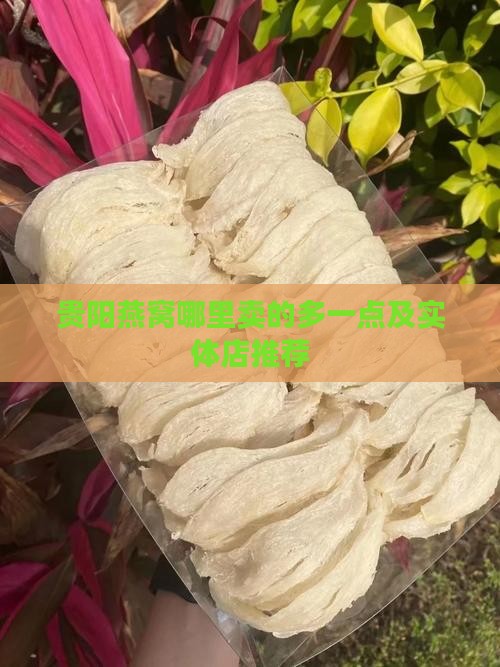 贵阳燕窝哪里卖的多一点及实体店推荐