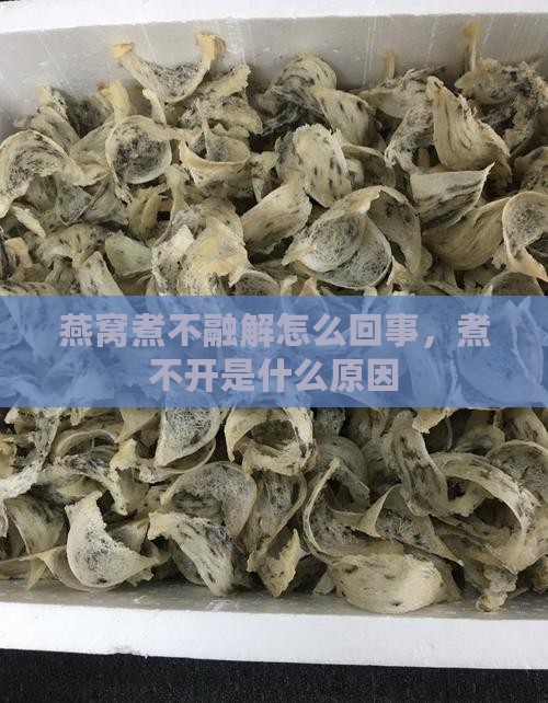 燕窝煮不融解怎么回事，煮不开是什么原因
