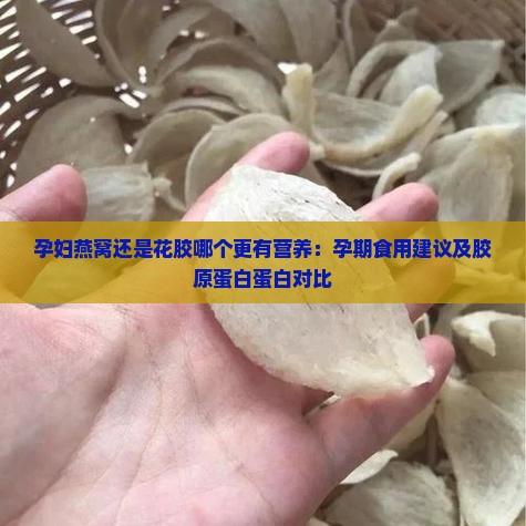 孕妇燕窝还是花胶哪个更有营养：孕期食用建议及胶原蛋白蛋白对比