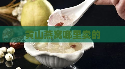 黄山燕窝哪里卖的