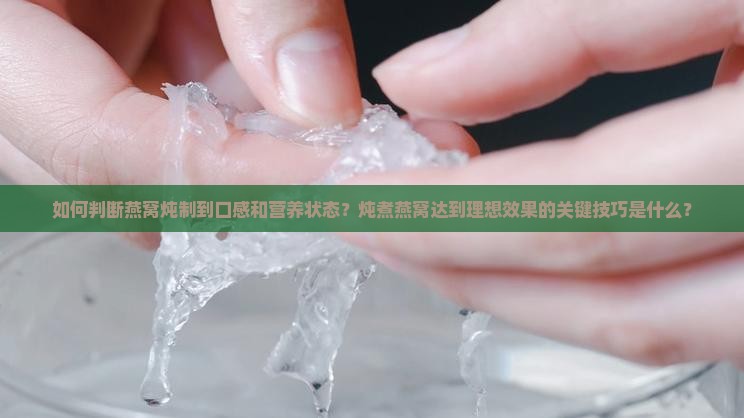 如何判断燕窝炖制到口感和营养状态？炖煮燕窝达到理想效果的关键技巧是什么？