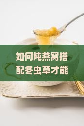如何炖燕窝搭配冬虫草才能发挥最大功效？掌握炖煮技巧，升级滋补体验！