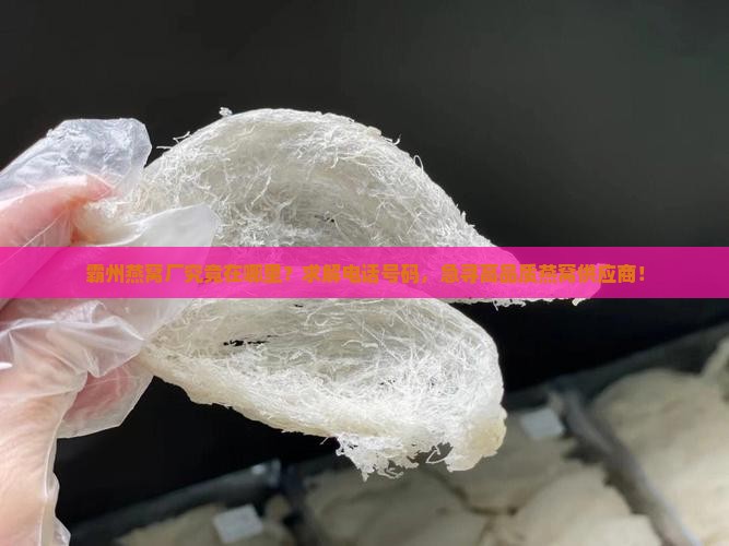 霸州燕窝厂究竟在哪里？求解电话号码，急寻高品质燕窝供应商！