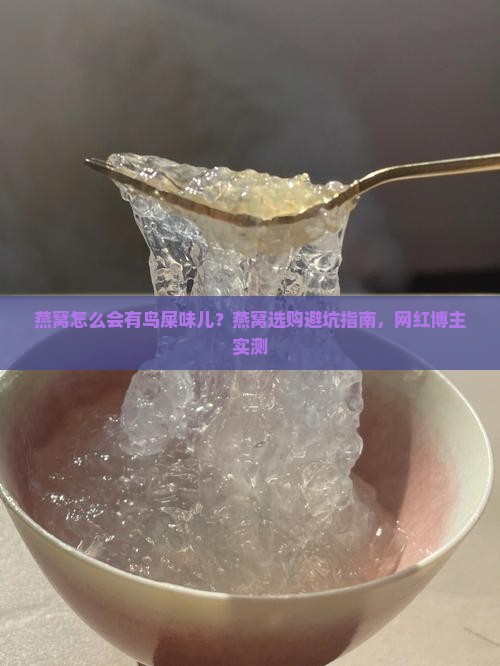 燕窝怎么会有鸟屎味儿？燕窝选购避坑指南，网红博主实测
