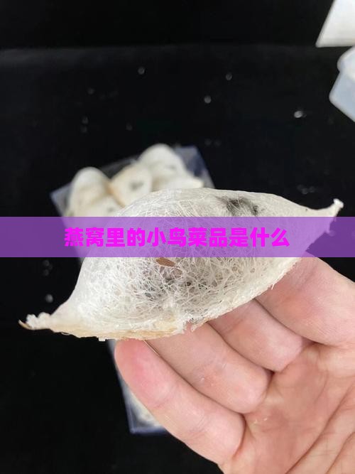 燕窝里的小鸟菜品是什么