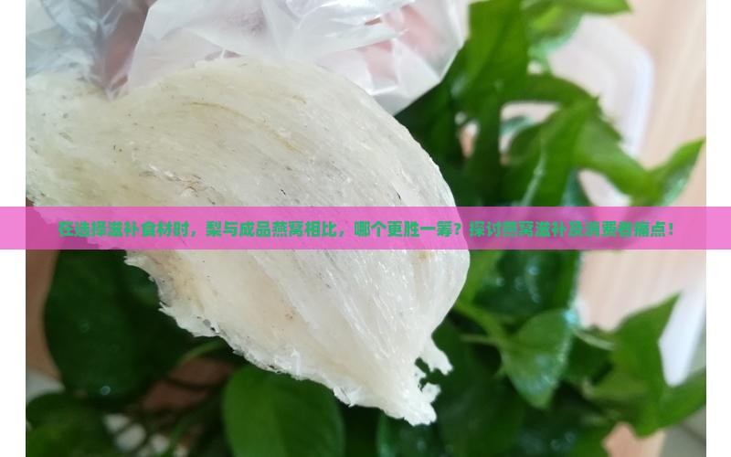 在选择滋补食材时，梨与成品燕窝相比，哪个更胜一筹？探讨燕窝滋补及消费者痛点！
