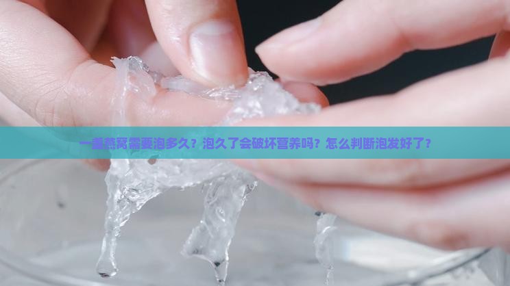 一盏燕窝需要泡多久？泡久了会破坏营养吗？怎么判断泡发好了？
