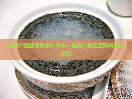 星海广场到燕窝多少千米：星海广场至燕窝岭距离测定