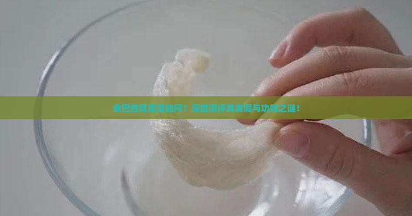 幸巴燕窝质量如何？深度测评其真假与功效之谜！