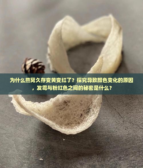 为什么燕窝久存变黄变红了？探究导致颜色变化的原因，发霉与粉红色之间的秘密是什么？