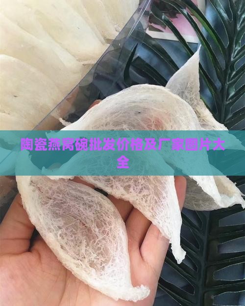 陶瓷燕窝碗批发价格及厂家图片大全