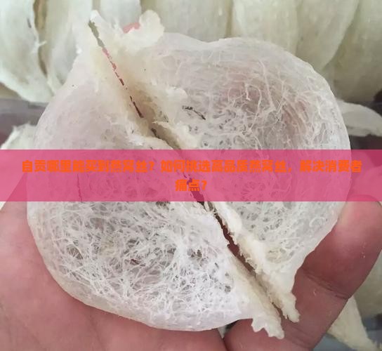 自贡哪里能买到燕窝丝？如何挑选高品质燕窝丝，解决消费者痛点？
