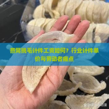 燕窝挑毛计件工资如何？行业计件单价与劳动者痛点