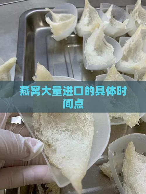 燕窝大量进口的具体时间点