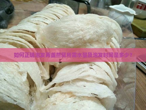 如何正确泡发两盏燕窝所需水量及泡发时间是多少？