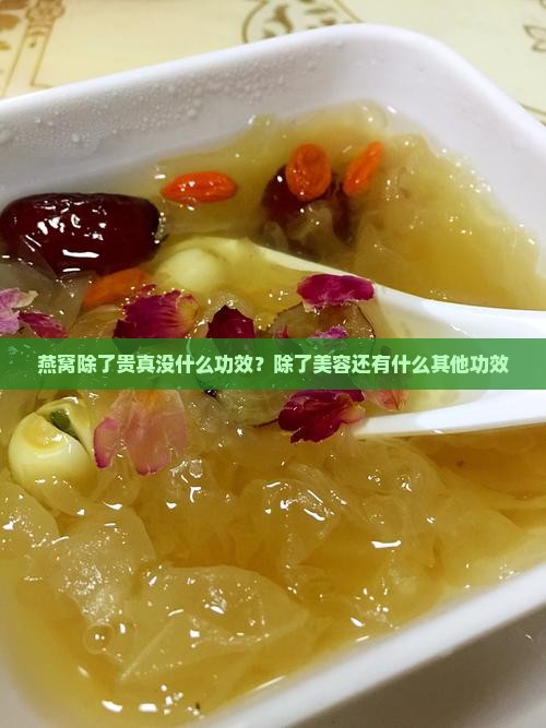 燕窝除了贵真没什么功效？除了美容还有什么其他功效