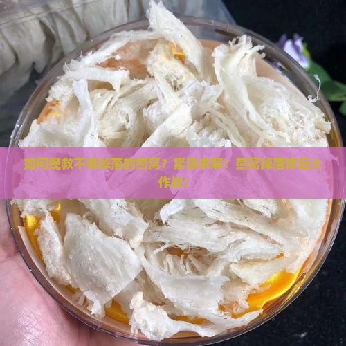 如何挽救不慎掉落的燕窝？紧急求解！燕窝掉落修复大作战！