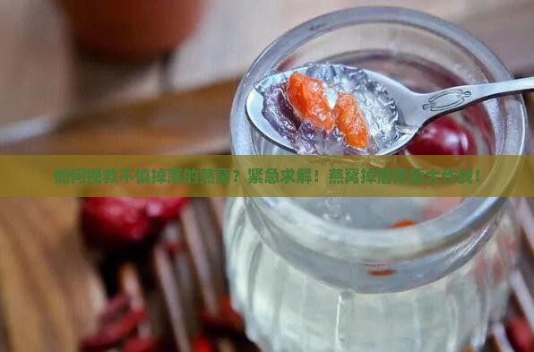 如何挽救不慎掉落的燕窝？紧急求解！燕窝掉落修复大作战！
