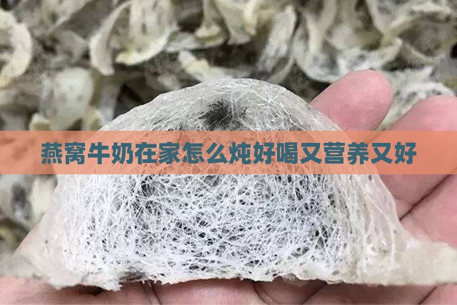 燕窝牛奶在家怎么炖好喝又营养又好