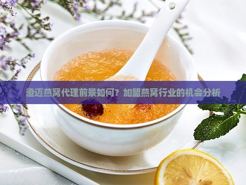 澄迈燕窝代理前景如何？加盟燕窝行业的机会分析